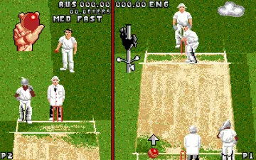 Ian Botham's Cricket_Disk1 screen shot game playing